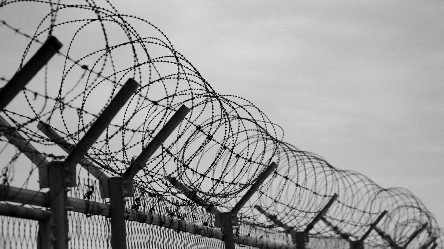 11 individuals pushed in at Panchagarh border by BSF