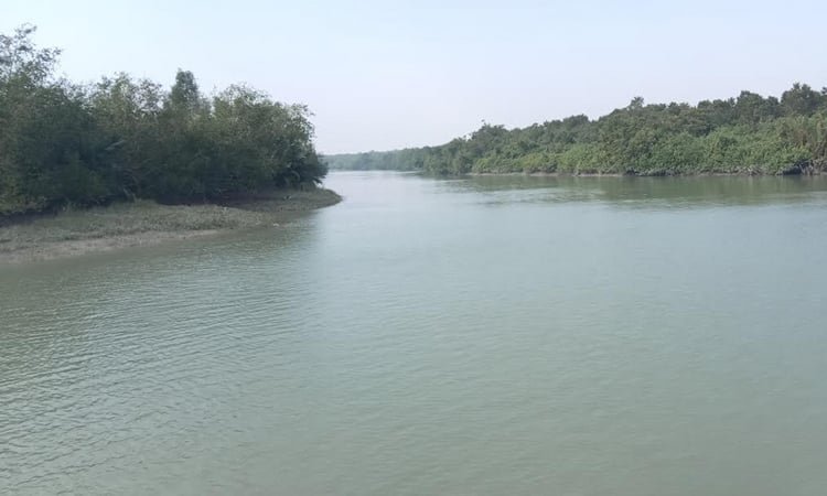 3-month ban on fishing, tourism in Sundarbans from June 1