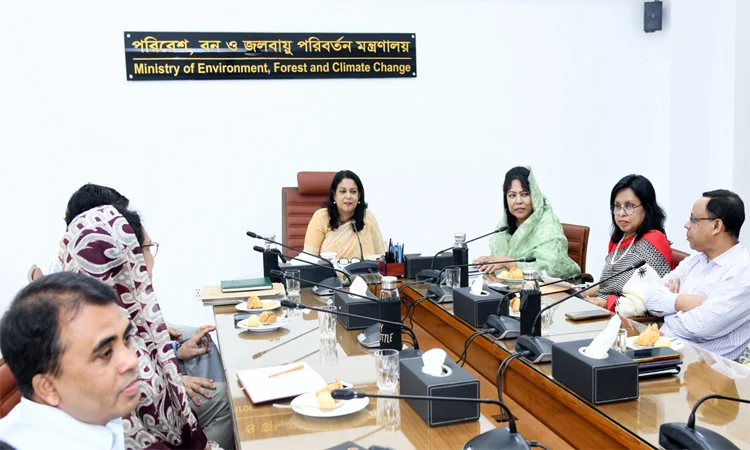 Rizwana for using eco-friendly bamboo furniture