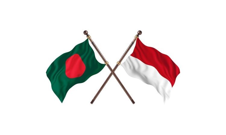 Indonesia keen to import Bangladesh's jute, jute goods: Envoy