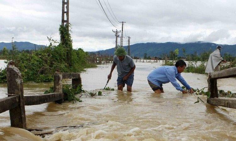 Vietnam flash flood kills five, dozens evacuated
